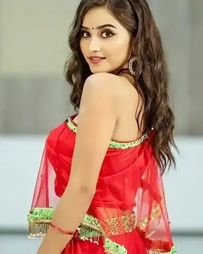 Call Girls Service Alamnagar